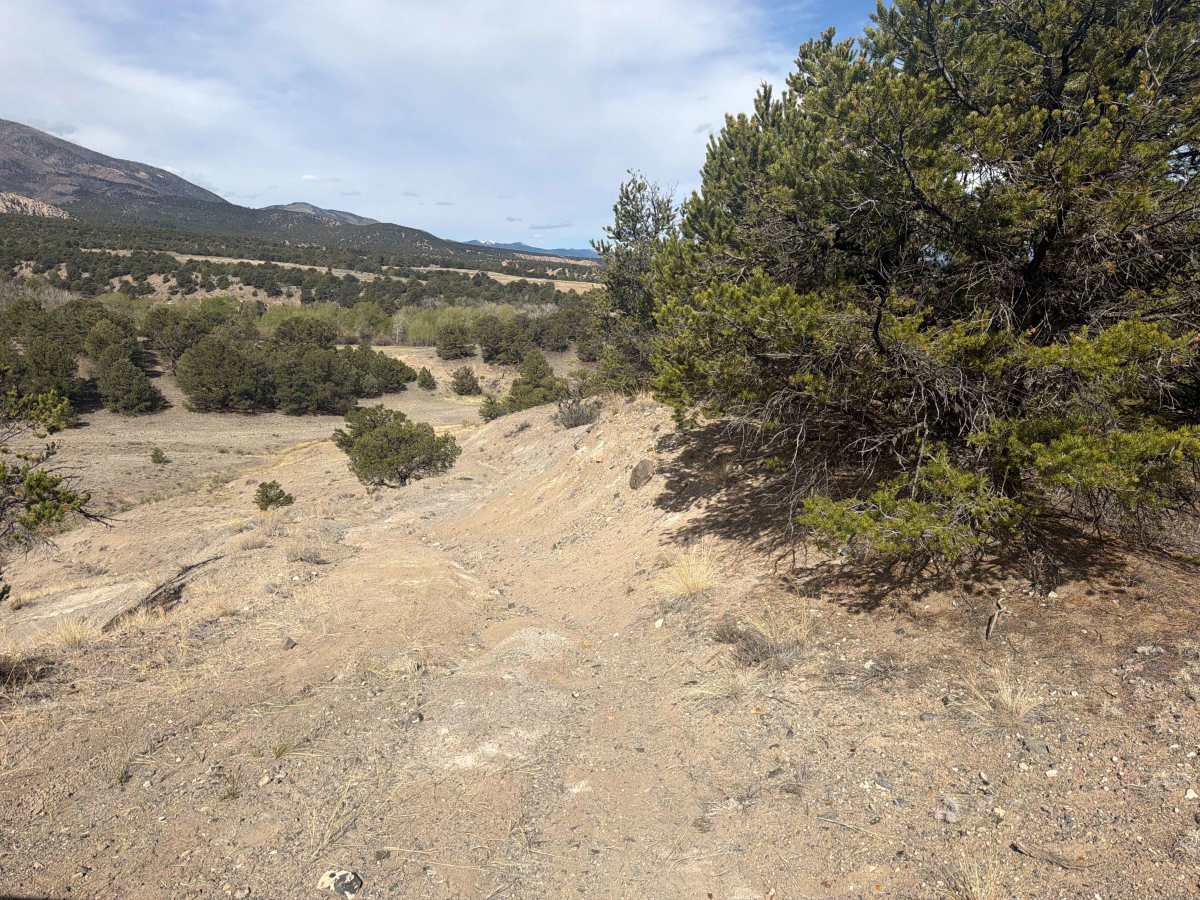 BLM 5971A photo 6