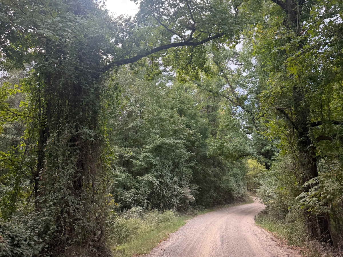 Blue Jay Hollow trail photo