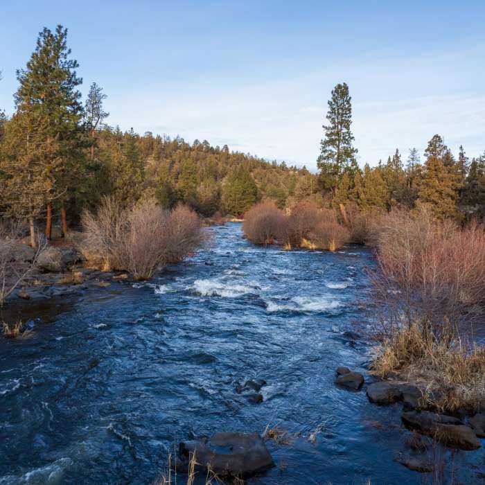 Near Deschutes River Trail