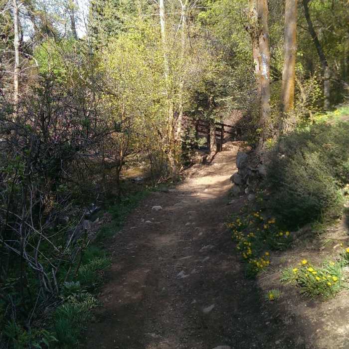 Near BoSho from Adams to Fernwood and Kaysville Wildeness Park