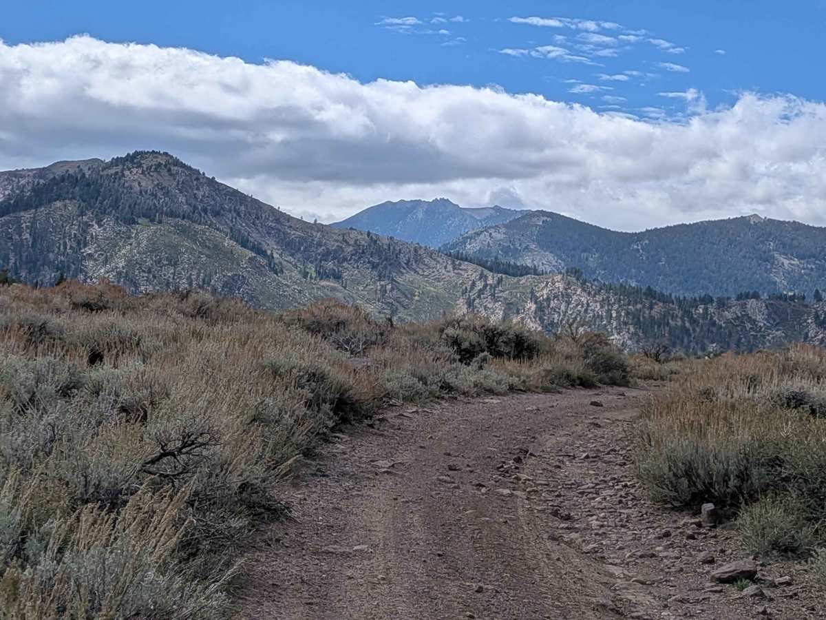 Cottonwood Meadows Road - FS 32106 trail photo