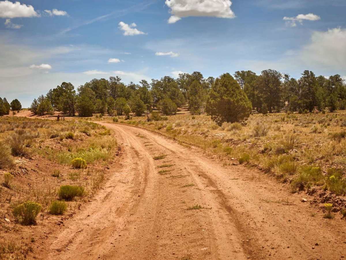 Old 301 Road (Southern Section) photo 2