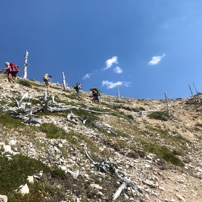 Near Trilobite Range Lollipop Loop