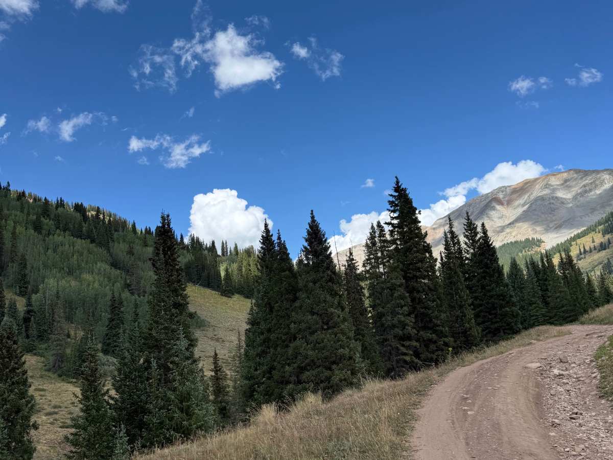 Cement Creek Road - FS 740 photo 3
