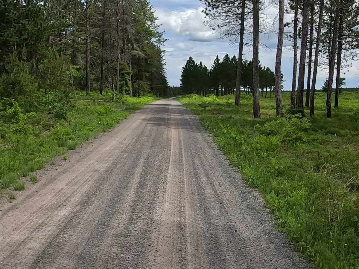 FS 2240 photo 3
