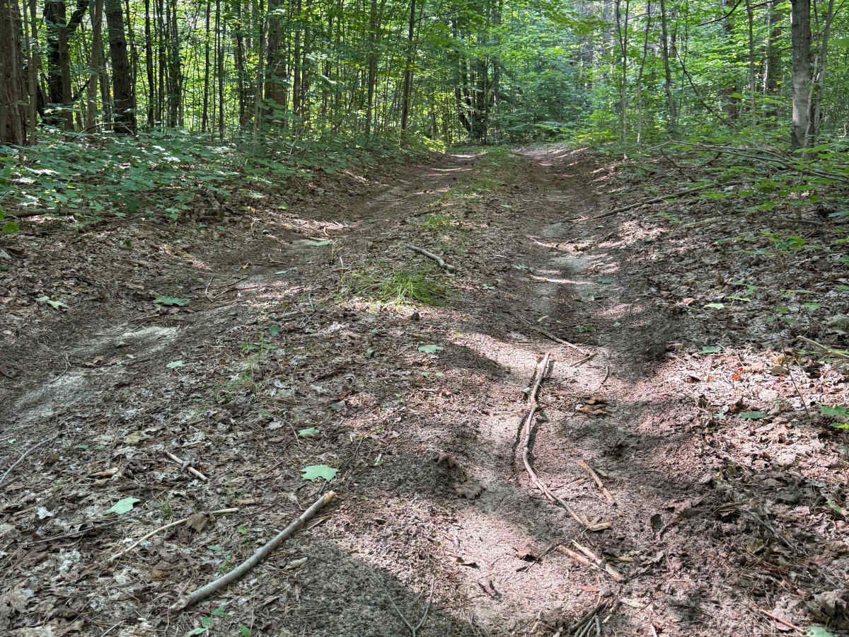 East Bear Creek Trail trail photo