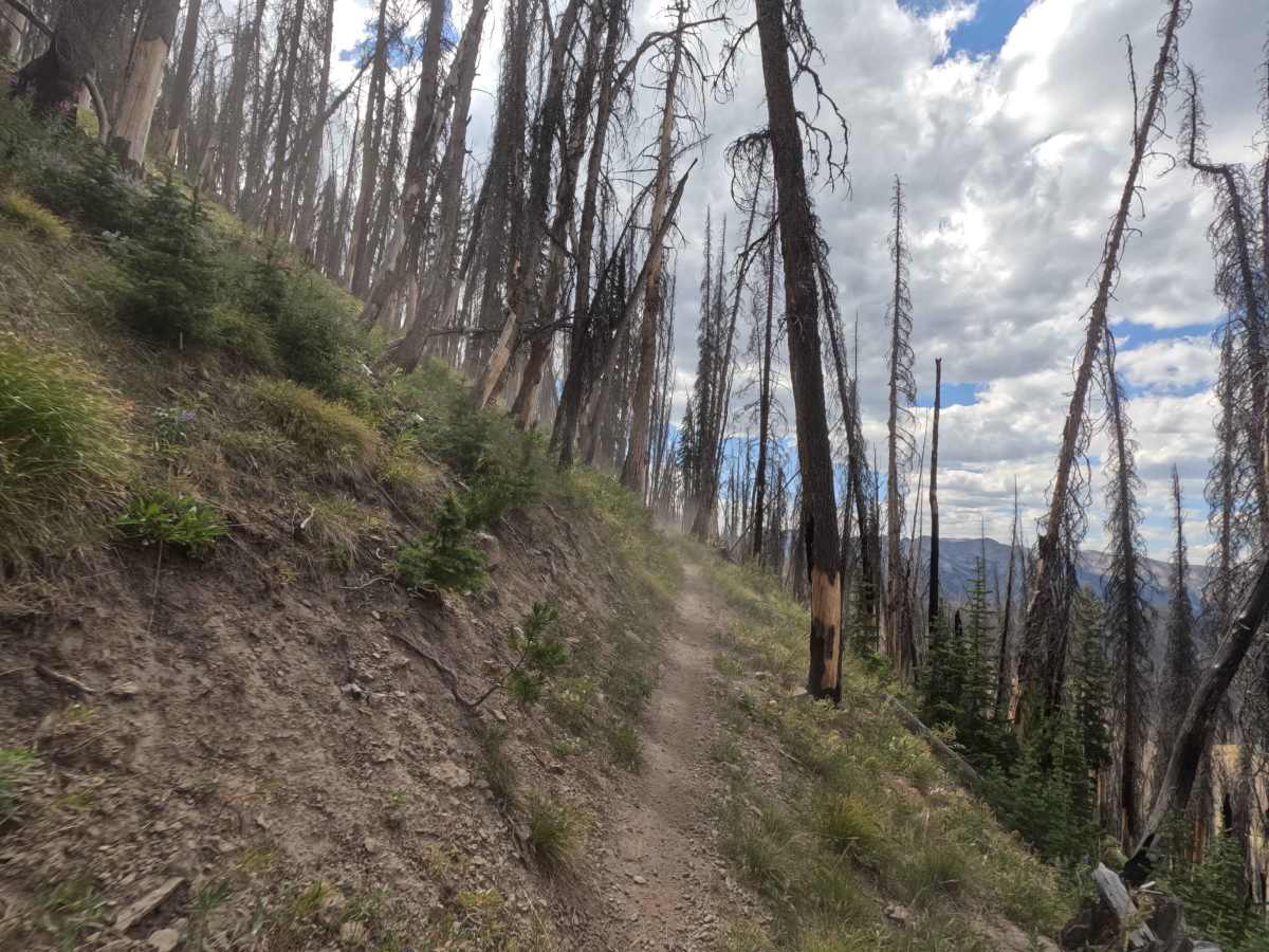 Osberg Ridgeline Trail - FS 7147 trail photo