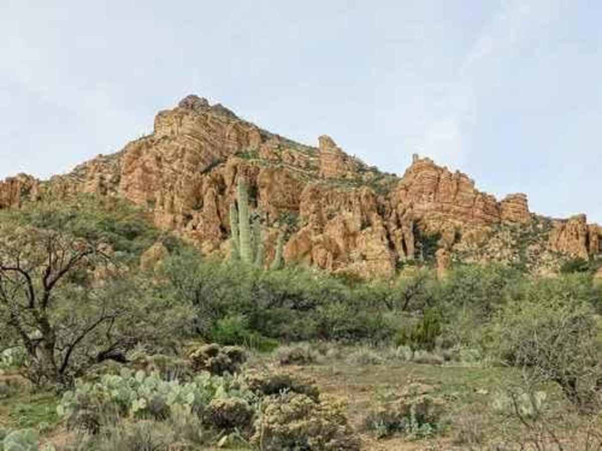 Putz Wood Canyon photo 2