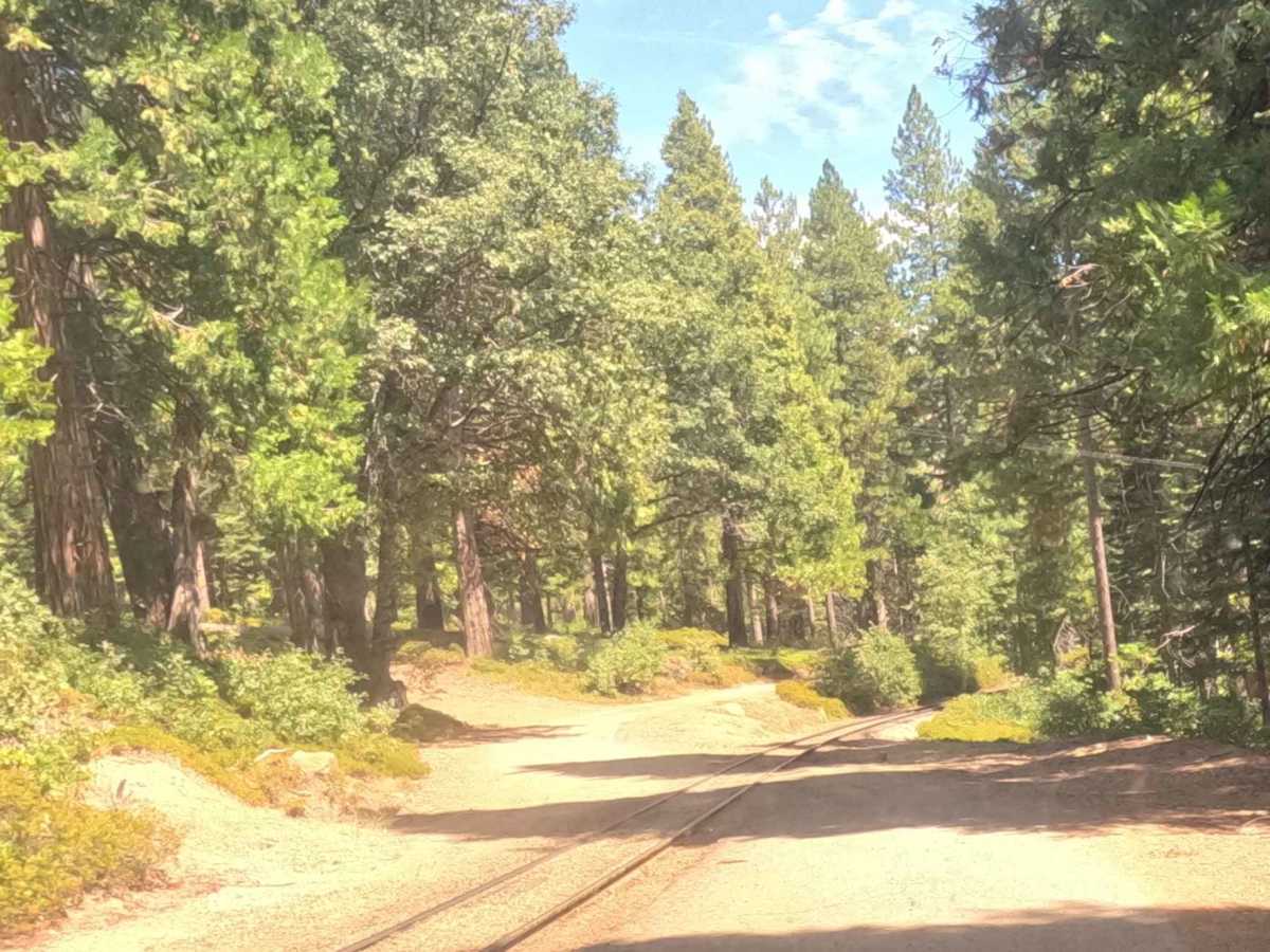 Lower Speckerman Fire - FS 5S017 photo 3