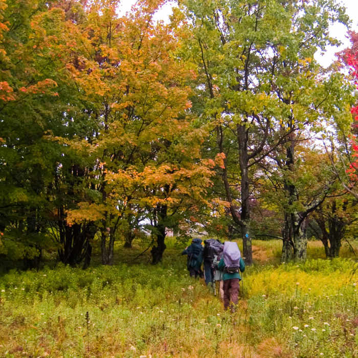 Hiking uphill on the Raven Ridge Trail Near Raven Ridge Trail