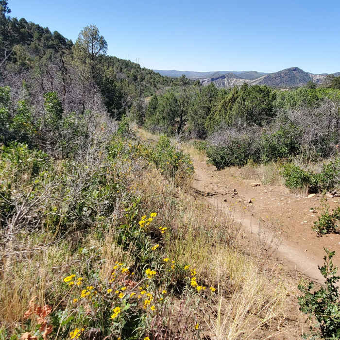 Easy going on Cowboy. Near Grandview Ridge Road