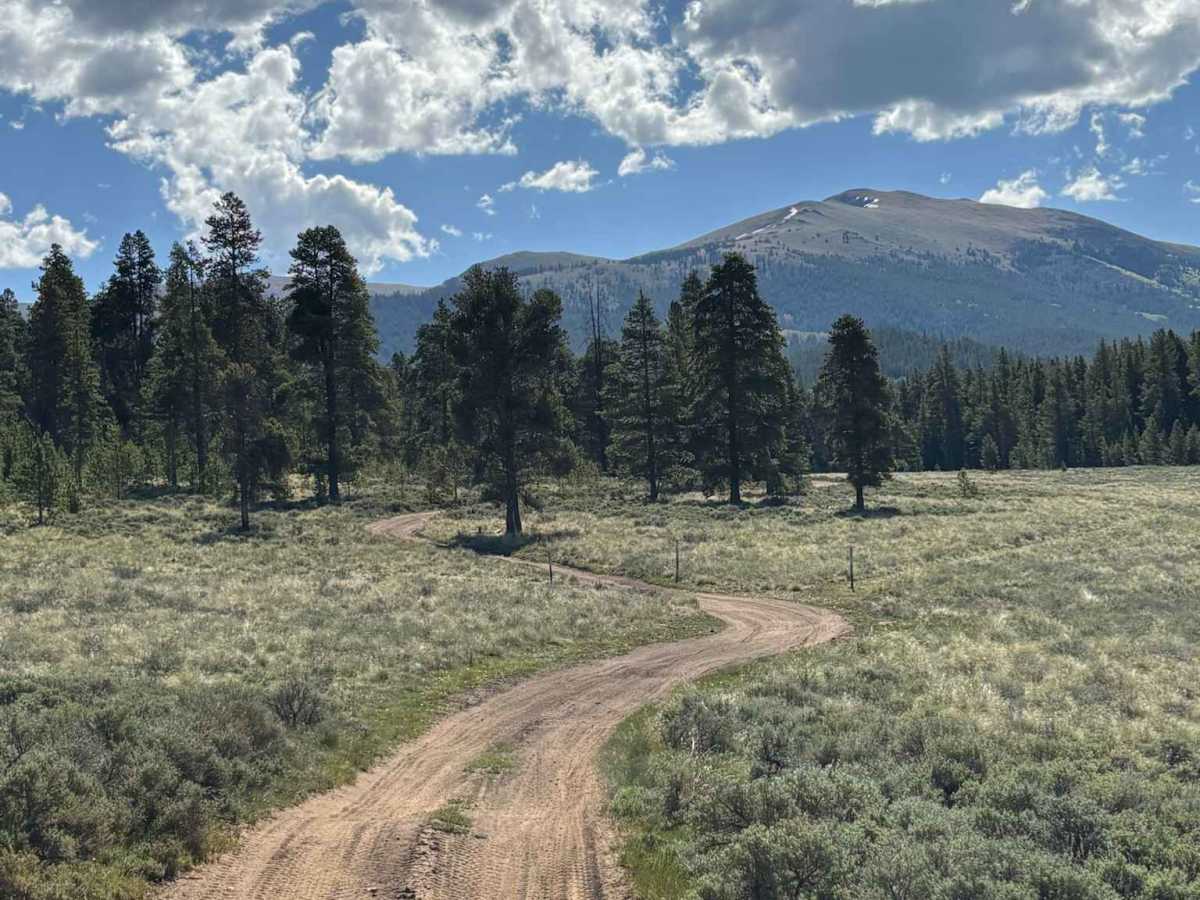 Cow Creek Connector Road photo 2