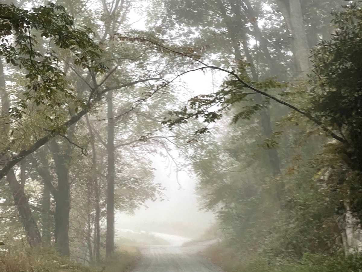 Watauga River Road photo 2