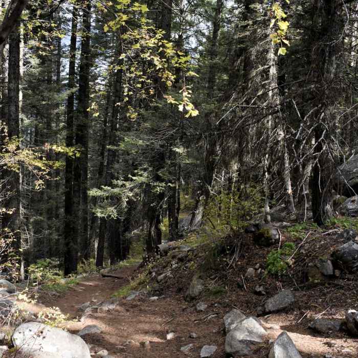 Near Goose Creek Falls