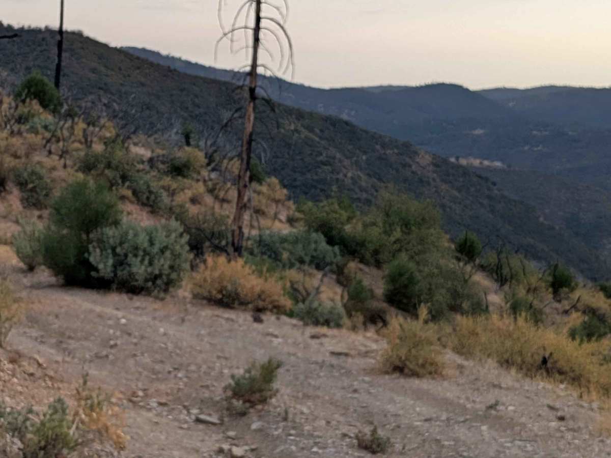 Buffalo Gulch Road photo 6