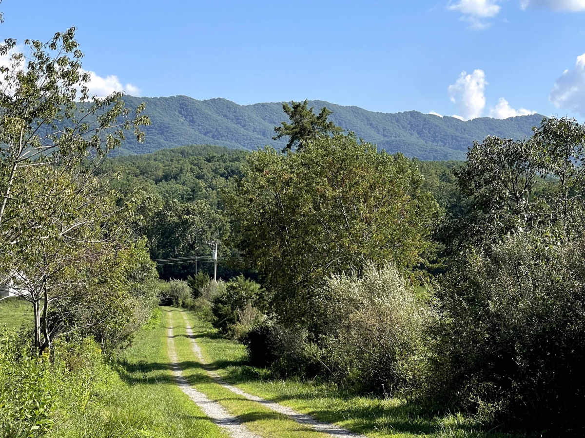 Scenic View Lane trail photo