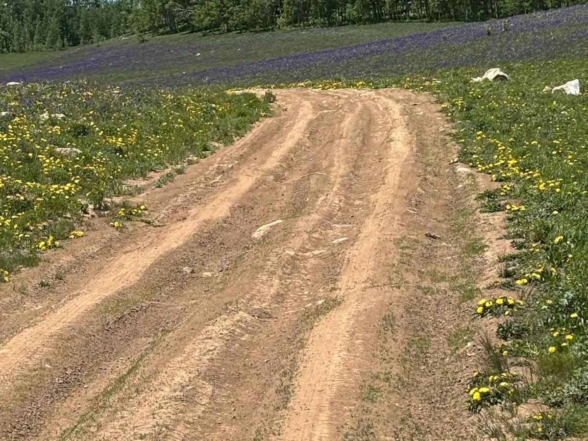Buttermilk Road photo 2