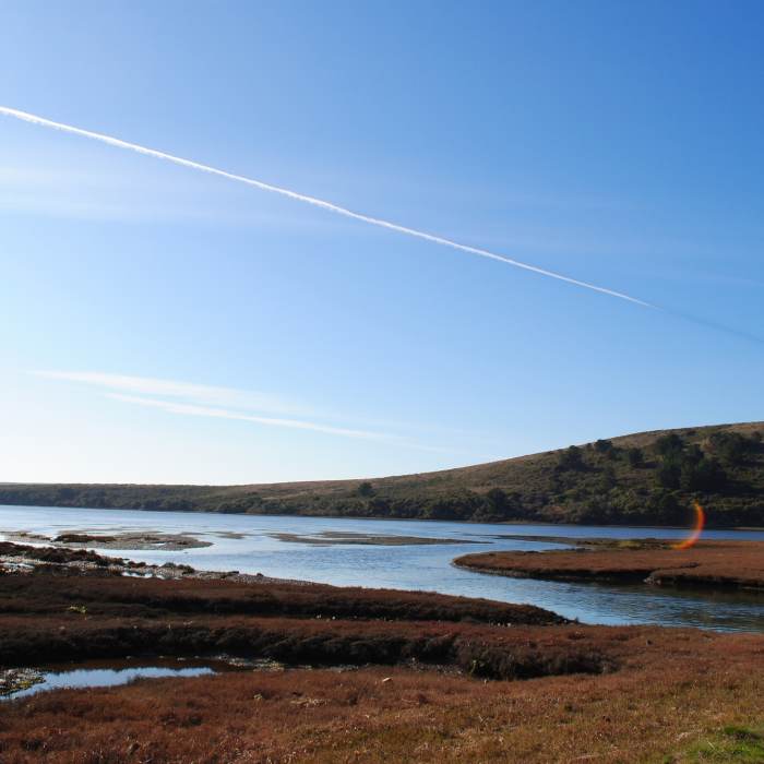 Near Bull Point