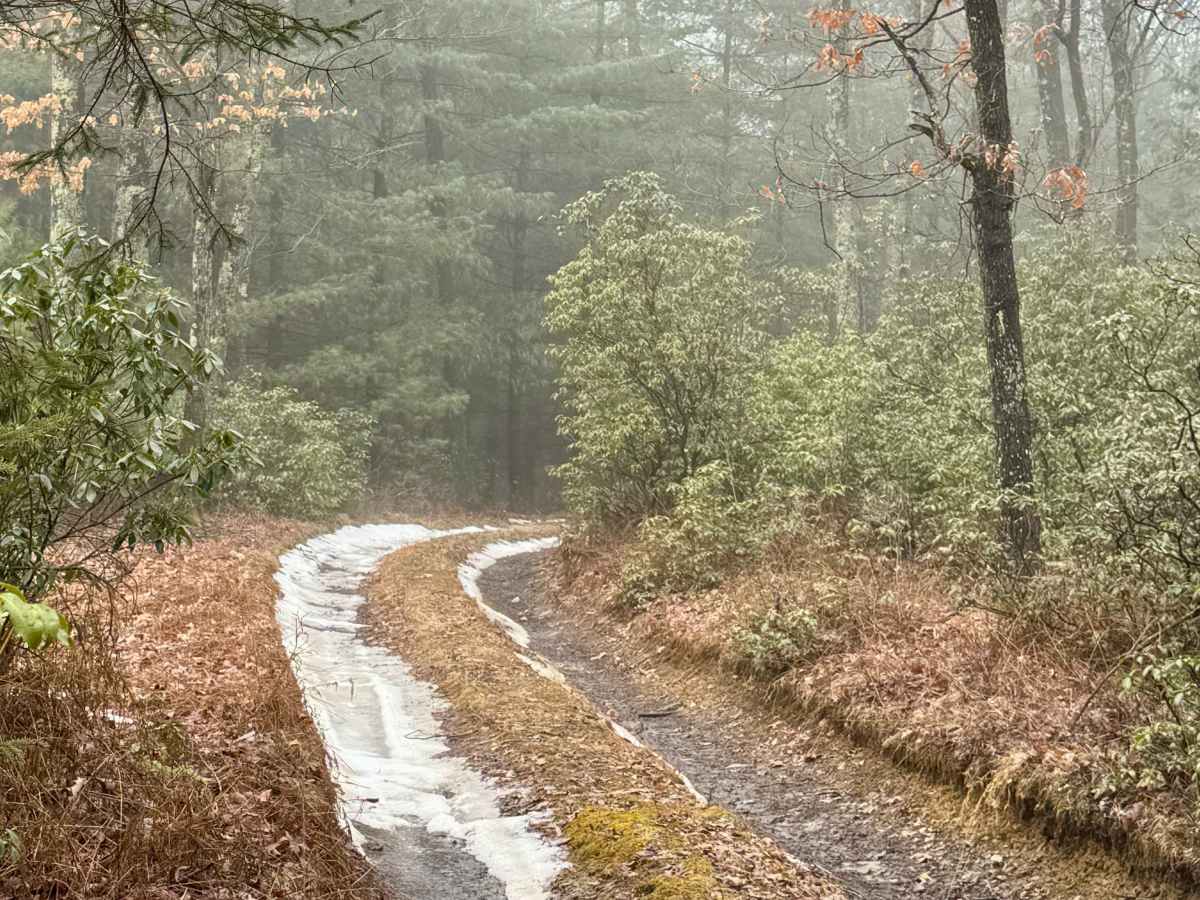 Smoke House Trail photo 5