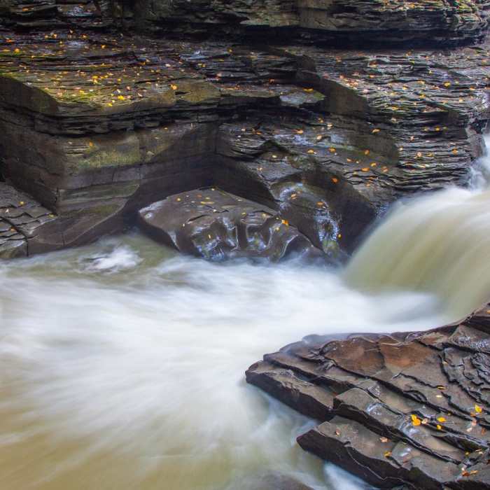 Near Gorge Trail Near Gorge Trail