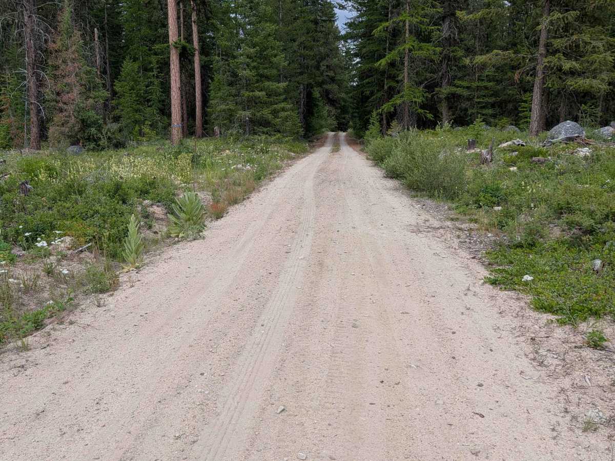 Woody Mountain Road photo 3
