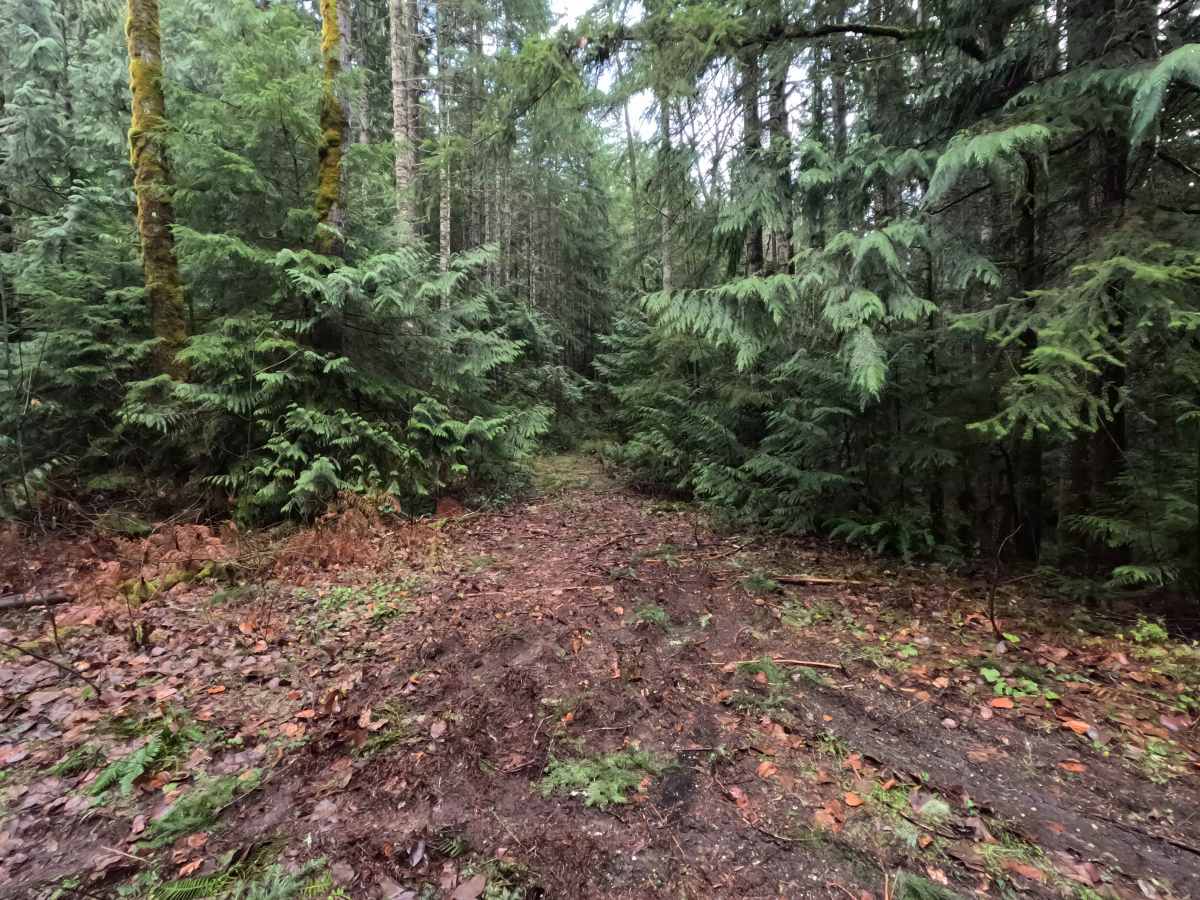 North Side Dan's Creek - FS 2130 photo 6