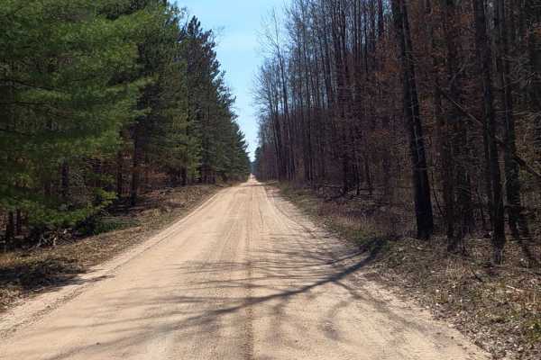 South Brodie Road
