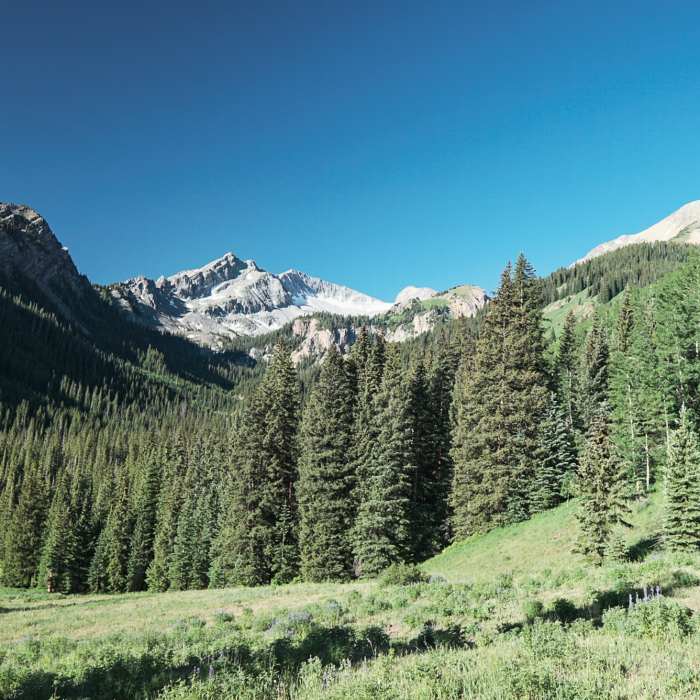 Near West Snowmass Trail #2187