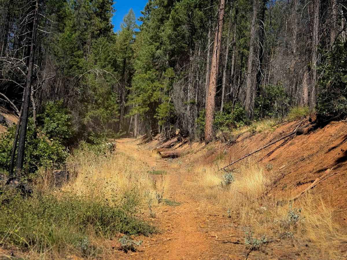 Cashman Ridge  photo 5