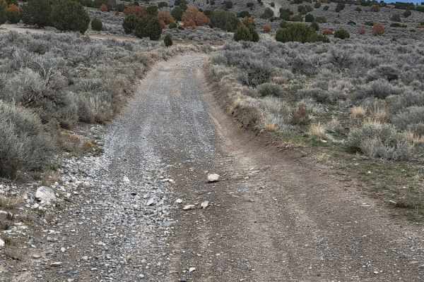 Juniper Lane