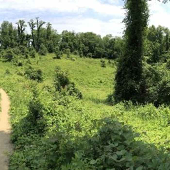 Near Patapsco Perimeter