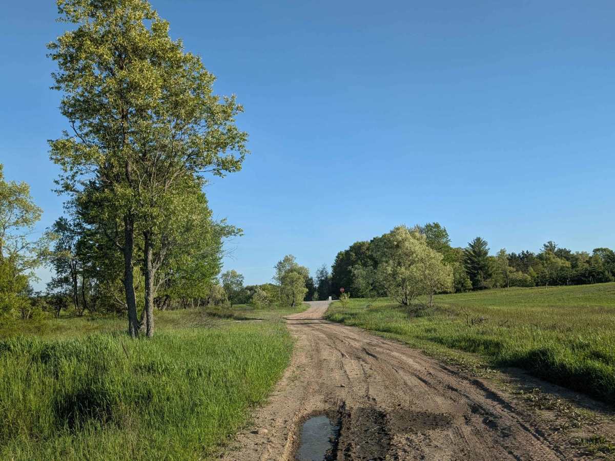 Beech Road trail photo