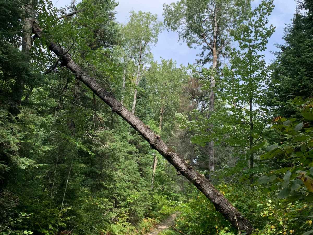 Godlevske Trail photo 3