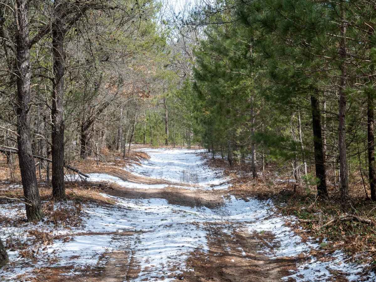 FS 5690 trail photo