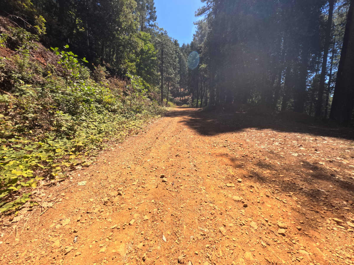 Pike CO Peak - FS 19N17 photo 6