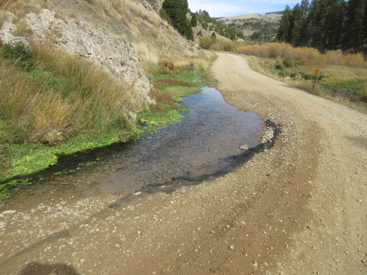 Warm Springs Creek Road (FA 163)/Cow Camp Road (FS 1234) photo 4