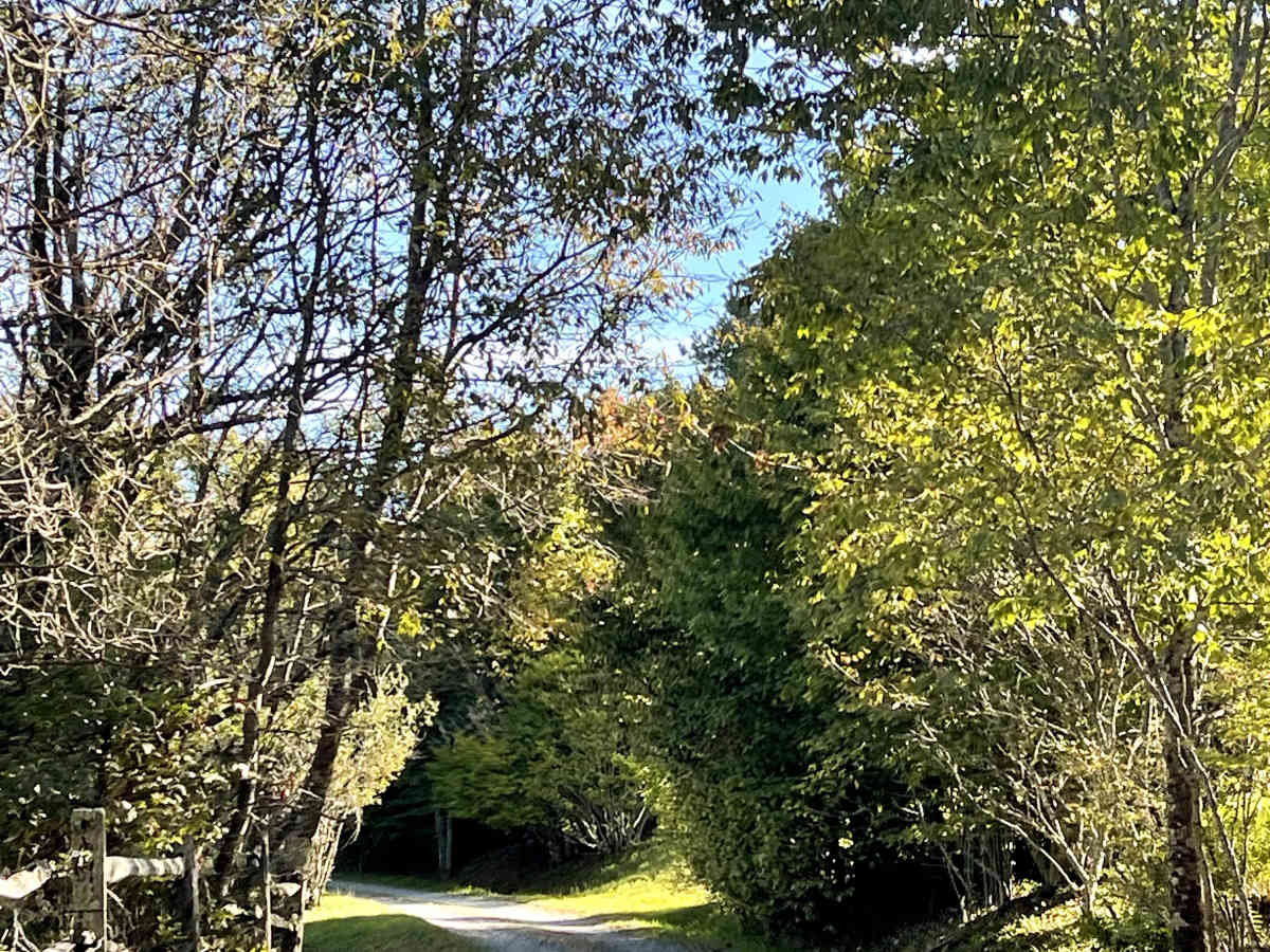 Shawnee Road trail photo