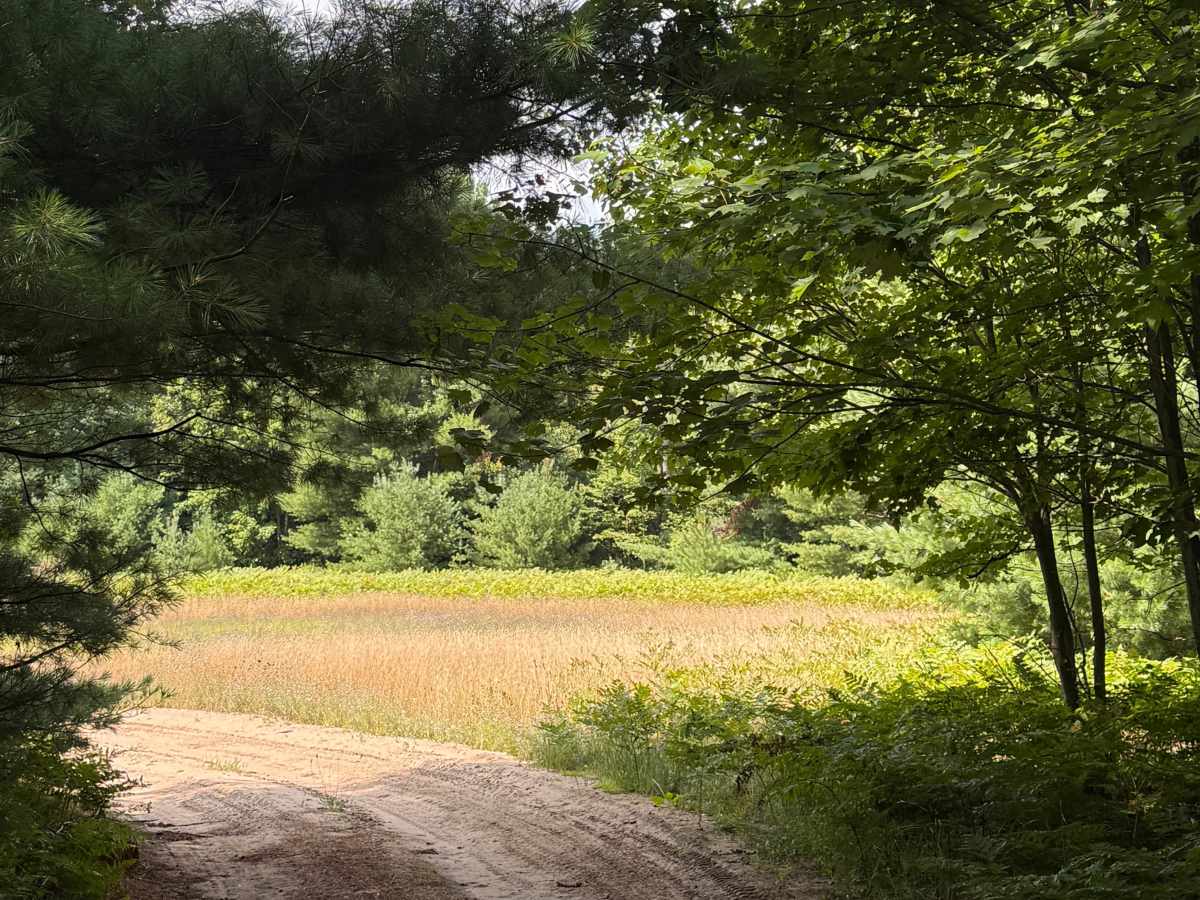 3rd Creek Trail photo 6
