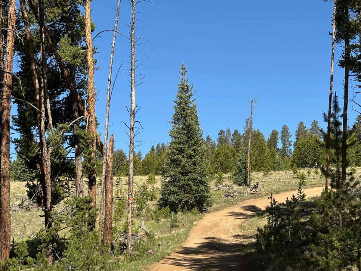 Cake Ridge Spur Road photo 6