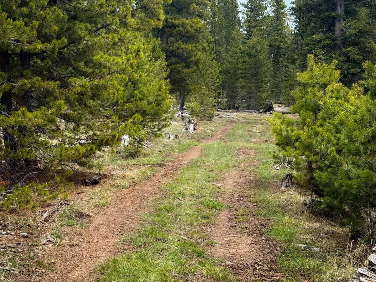 Anderson Creek #71  photo 6
