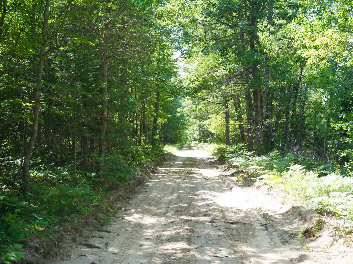 Sawyer Road photo 2