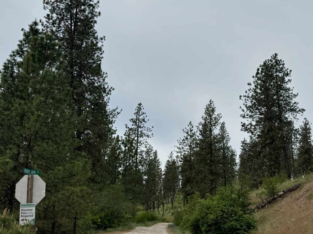 Bisbee Mountain Road trail photo