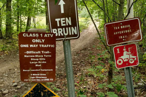 Ten Bruin-Red Top