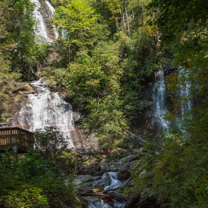 Near Anna Ruby Falls Trail #15