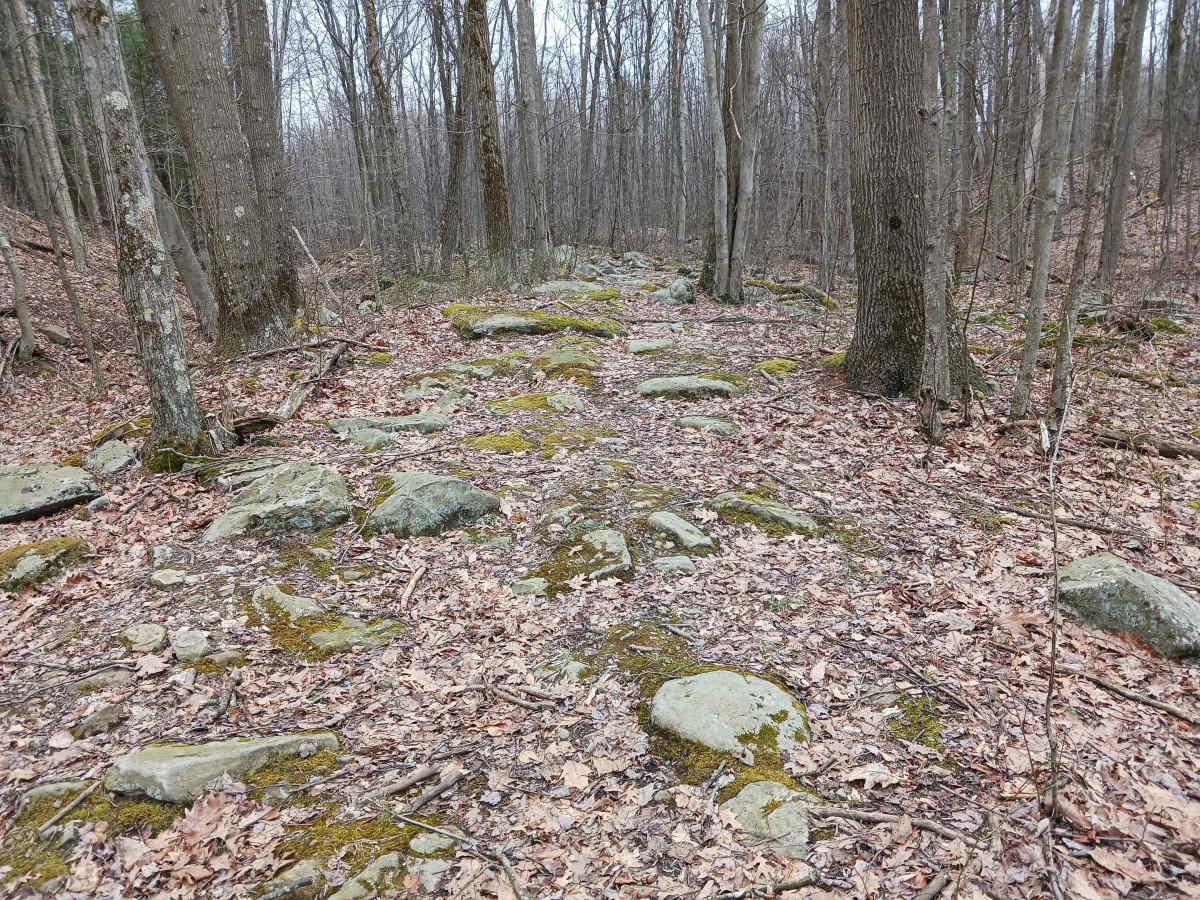 OHV 60 - Rock Run Recreation Area photo 3