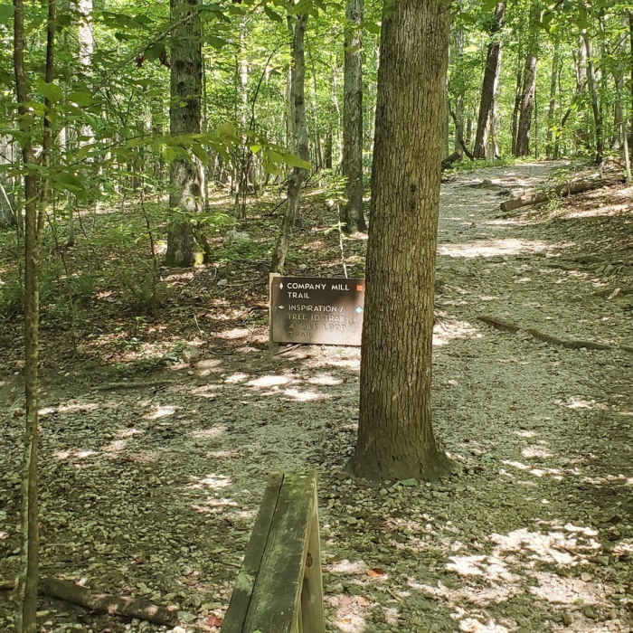 Near Company Mill Trail