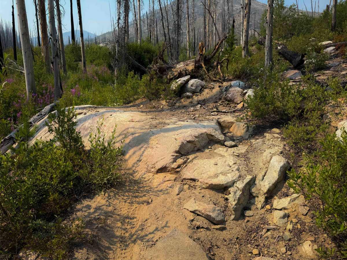 Summit Trail photo 3