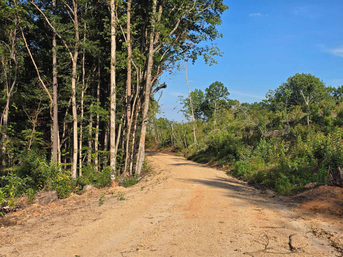Double Branch - FS 742 trail photo