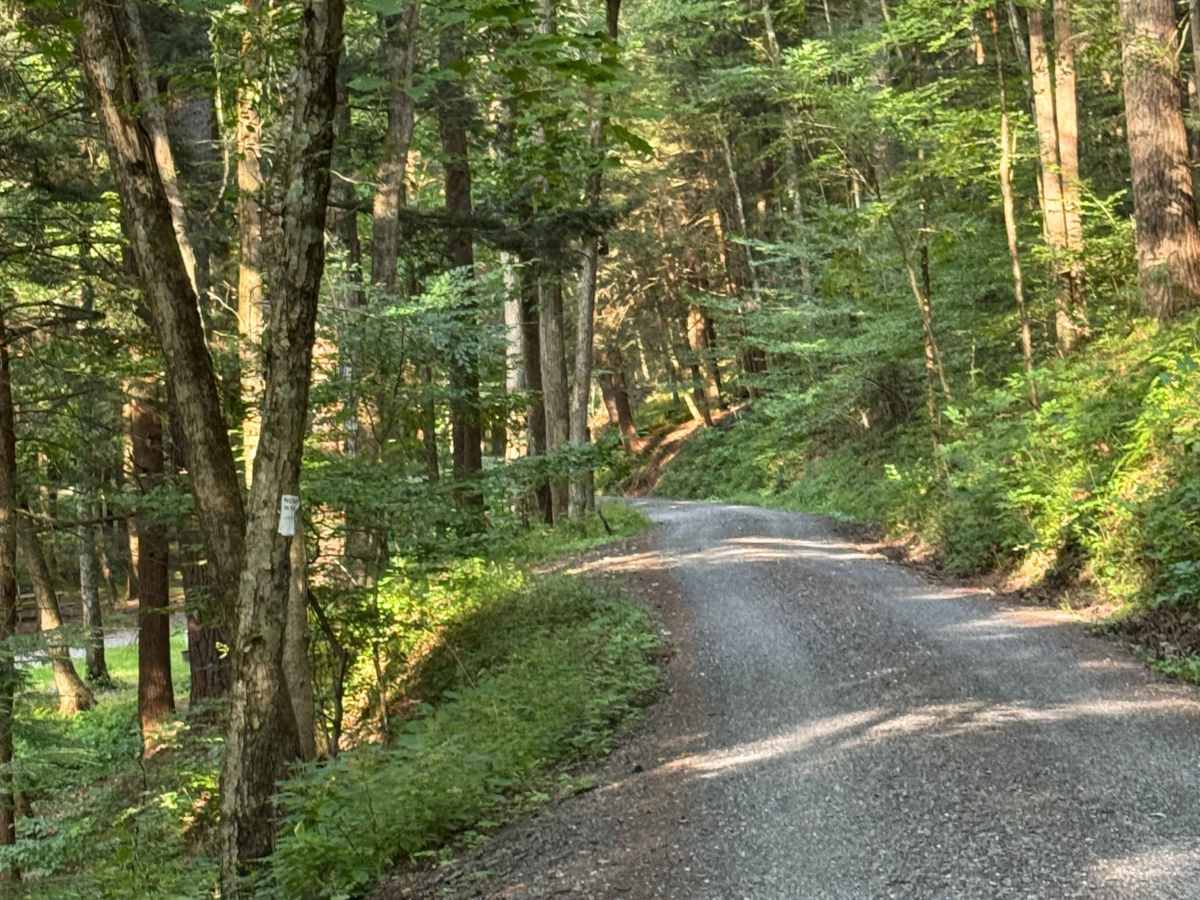 Limbaugh Road photo 3