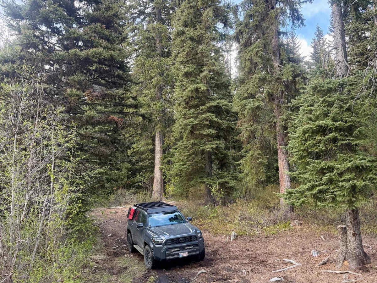 Gwyneth Lake Provincial Park photo 4